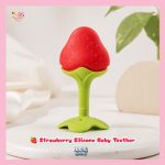 Fruit Shape Silicone Baby Teether BD BPA Free Baby Teething Toy