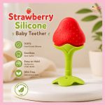 Fruit Shape Silicone Baby Teether BD BPA Free Baby Teething Toy