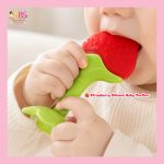 Fruit Shape Silicone Baby Teether BD BPA Free Baby Teething Toy