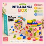 Wooden Intelligence Box BD educational toy for kids